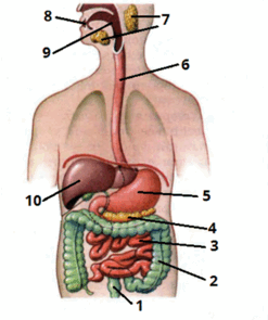 0501qsk7-f043-169x202.png