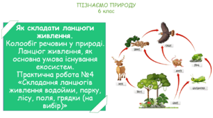 Урок на тему "Як складати ланцюги живлення. Колообіг речовин у природі. Ланцюг живлення, як основна умова існування екосистем. Практична робота №4 «Складання ланцюгів живлення водойми, парку, лісу, поля, грядки (на вибір)»"