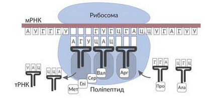 0501r0jt-0a2b-420x195.jpg