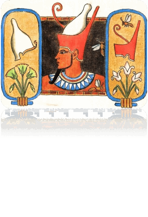 0501r214-b87c-486x713.png