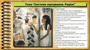 Системи харчування. Раціон. 6 клас (НУШ). За підручником авторів Щупак І., Власова Н. та інші.