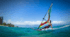Презентація на тему "Windsurfing" ("Віндсерфінг")