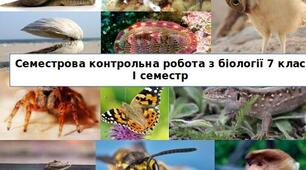 Семестрова контрольна робота за І семестр, 7 клас