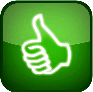 0501r85o-6090-300x297.png