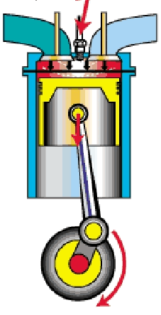 0501race-36a2-227x443.png