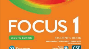 FOCUS REVIEW 4