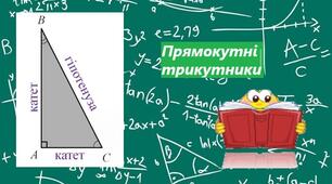 Прямокутні трикутники