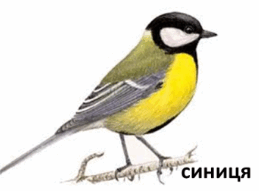 0501rfkr-47ac-259x191.png