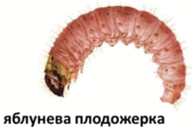 0501rfkt-abd8-215x145.png