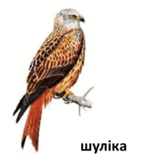 0501rfkw-9094-204x233.png