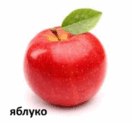 0501rfkz-20c1-132x123.png