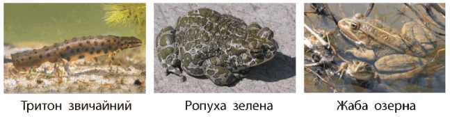 0501rfsc-54bd-647x171.png