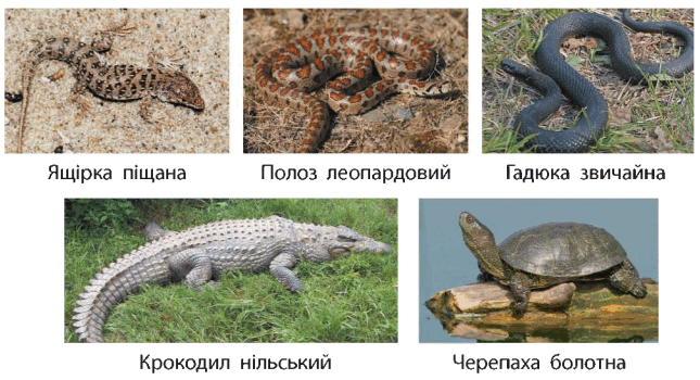 0501rfsf-218a-645x350.png