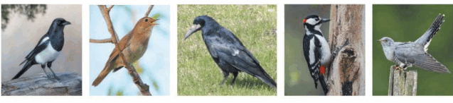 0501rfsg-568a-637x146.png