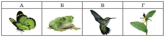 0501rgxc-0831-528x122.png
