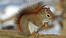 0501rh1u-bc0a-138x79.jpg