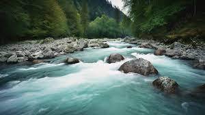 Long Exposure Of River Flowing Slowly Through Forest Background, Pictures Of A River Background Image And Wallpaper for Free Download