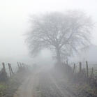 0501rhyz-11d7-139x139.jpg