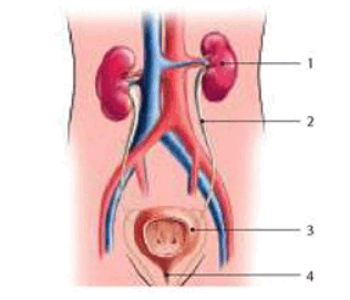 0501rj25-15c4-316x271.png