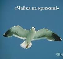 Ліна Костенко - фан-сторінка - ЧАЙКА НА КРИЖИНІ (Поема ...