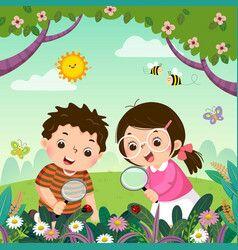 0501rlp4-82ed-238x250.jpg