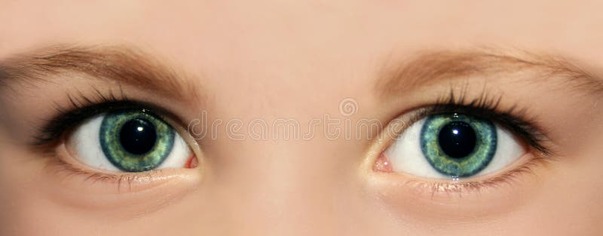 Eyes of a kid stock photo. Image of face, lucky, cute - 1236162