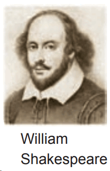 0501rm17-b255-223x346.png
