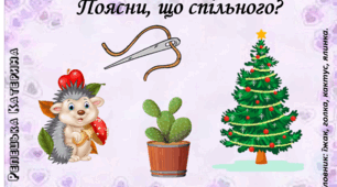 Дидактичний посібник "Що спільного?"