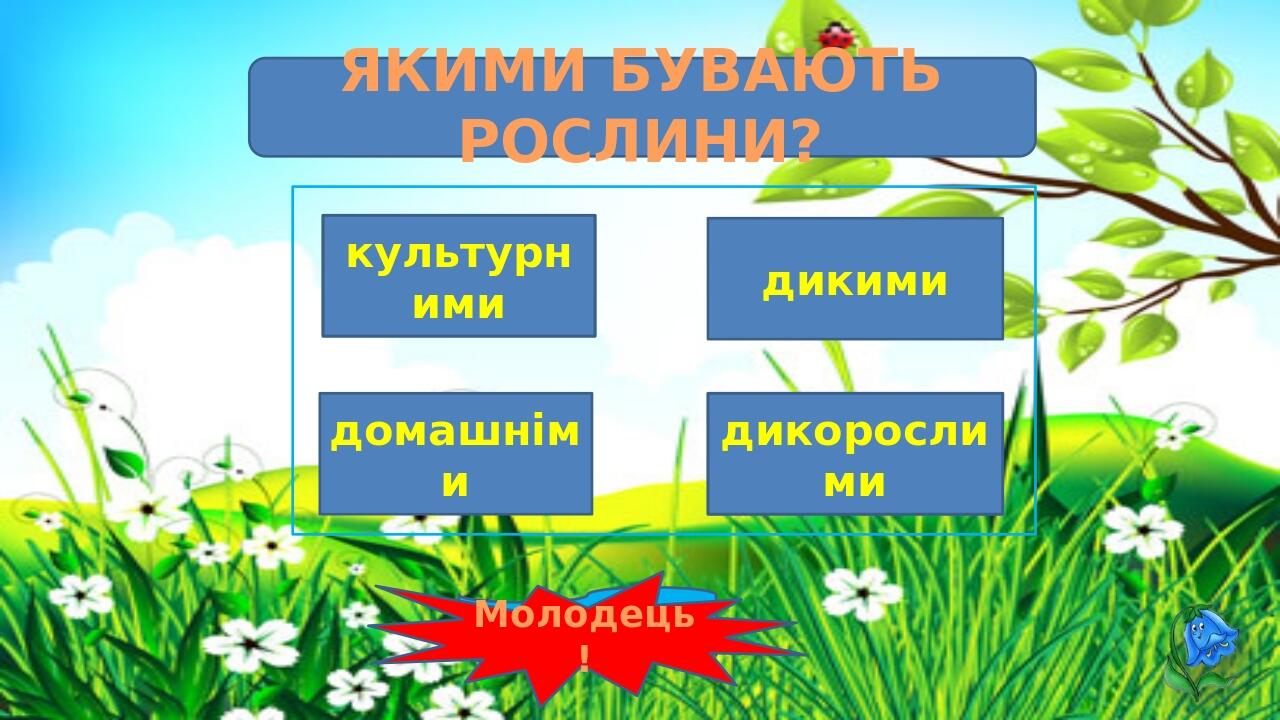 ЯКИМИ БУВАЮТЬ РОСЛИНИ? культурними дикорослими Подумай! дикими домашніми Молодець!