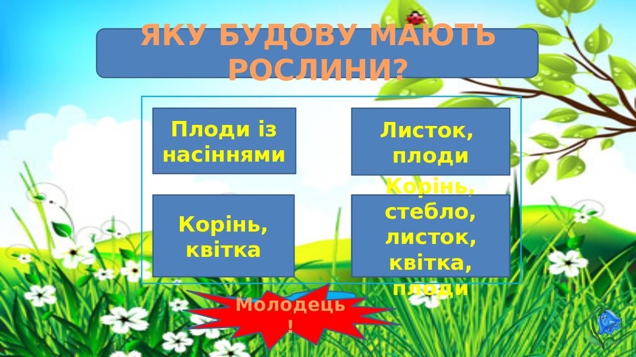 НА ЯКІ ДВІ ГРУПИ ПОДІЛЯЮТЬ ДЕРЕВА? хвойні листяні Подумай! культурні домашні Молодець!