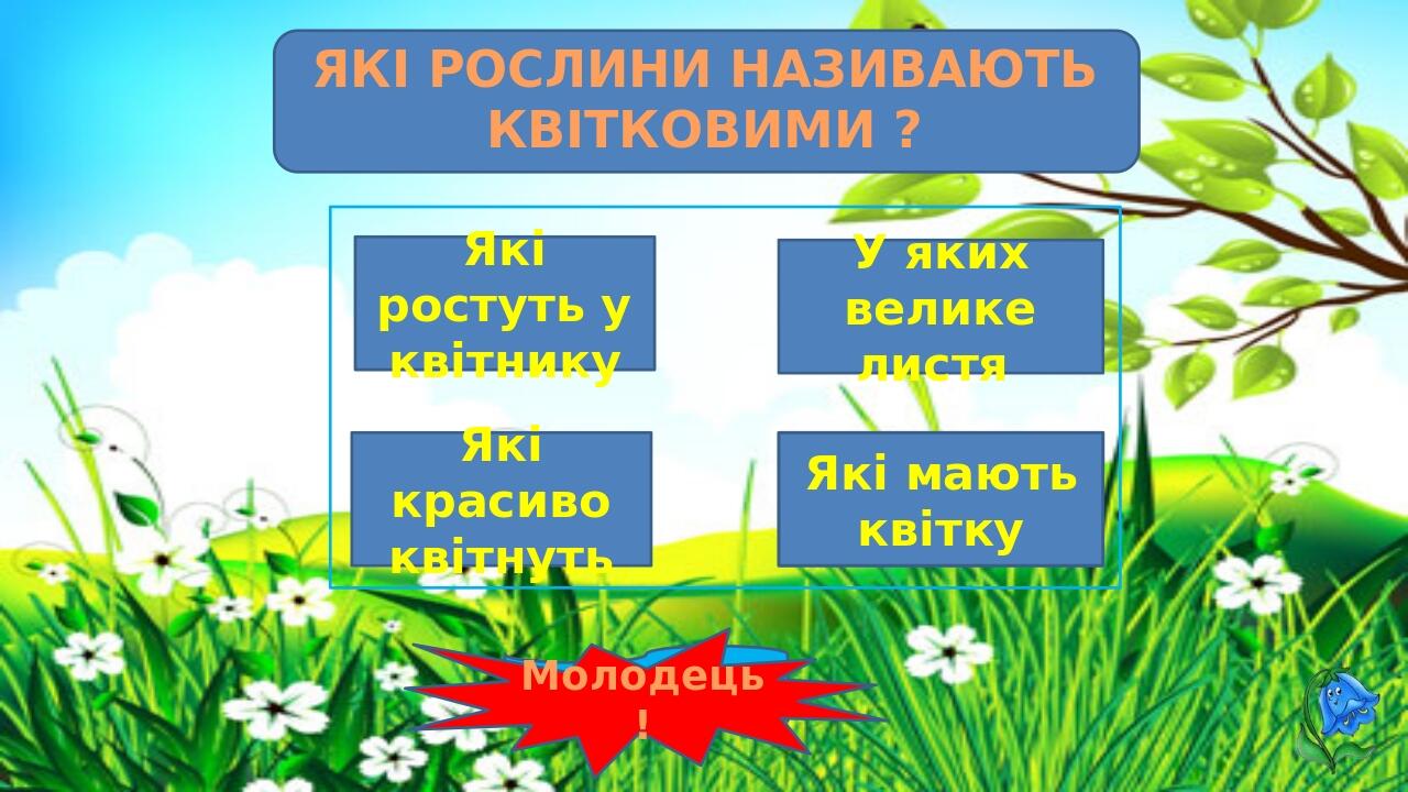 ОВОЧІ ЦЕ: малина яблука Подумай! помідори огірки Молодець!