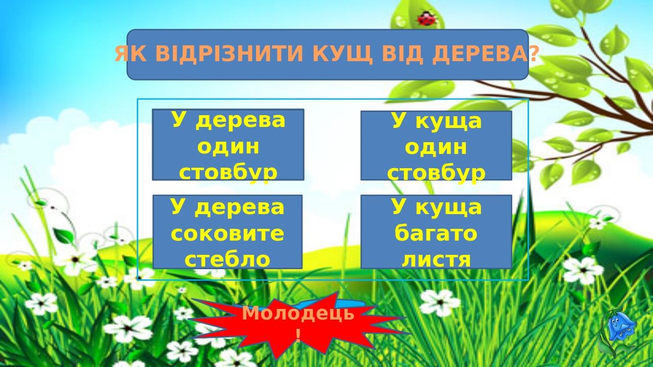 Інтернет-джерела http://interesnyesaity.ru/wp-content/uploads/grass1.jpg фон http://s55.radikal.ru/i148/1107/fe/4393de5732ec.jpg квітка