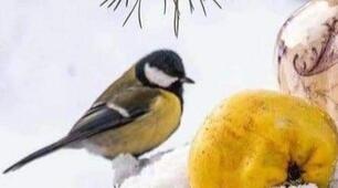 ***