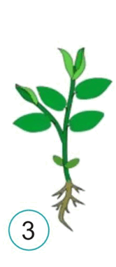 0501rq1y-86c7-166x381.png