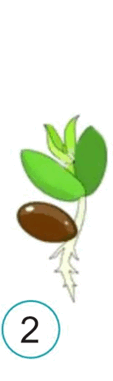 0501rq2j-3ee7-113x381.png