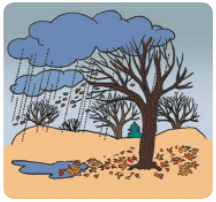 0501rqj2-b8d8-216x202.png