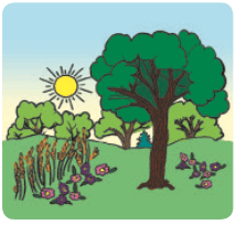 0501rqjp-0a9d-214x204.png