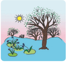 0501rqjs-848c-216x200.png