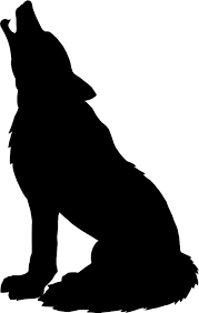 0501rqkq-3967-179x282.png