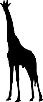 0501rqlb-d491-146x345.png