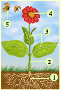 0501rqpe-6f95-208x305.png
