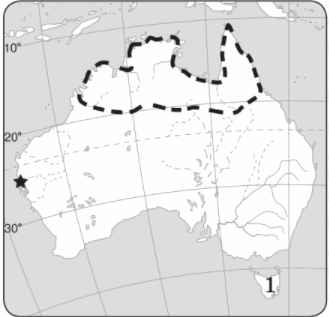 0501rtnf-2d78-329x317.png