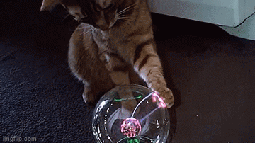 0501rvx5-f0e0-360x202.gif