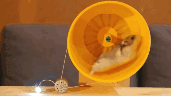 0501rvy4-adc6-544x306.gif