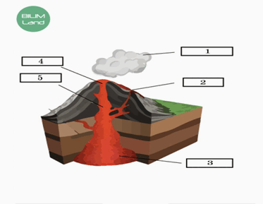 0501s09p-d362-373x289.png