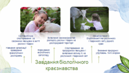 0501s0ey-1148-257x145.png