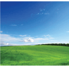 0501s34a-6d6a-230x224.png