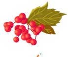 0501s4rs-94b1-138x117.png