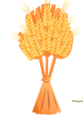 0501s4s8-ce27-93x132.png