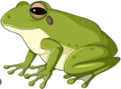 0501s5a2-d91b-134x99.png